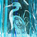 Siphon La héronnière, ville inconnue.